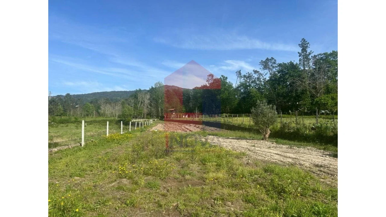 Terreno para Venda em Torre e Portela Foto 11