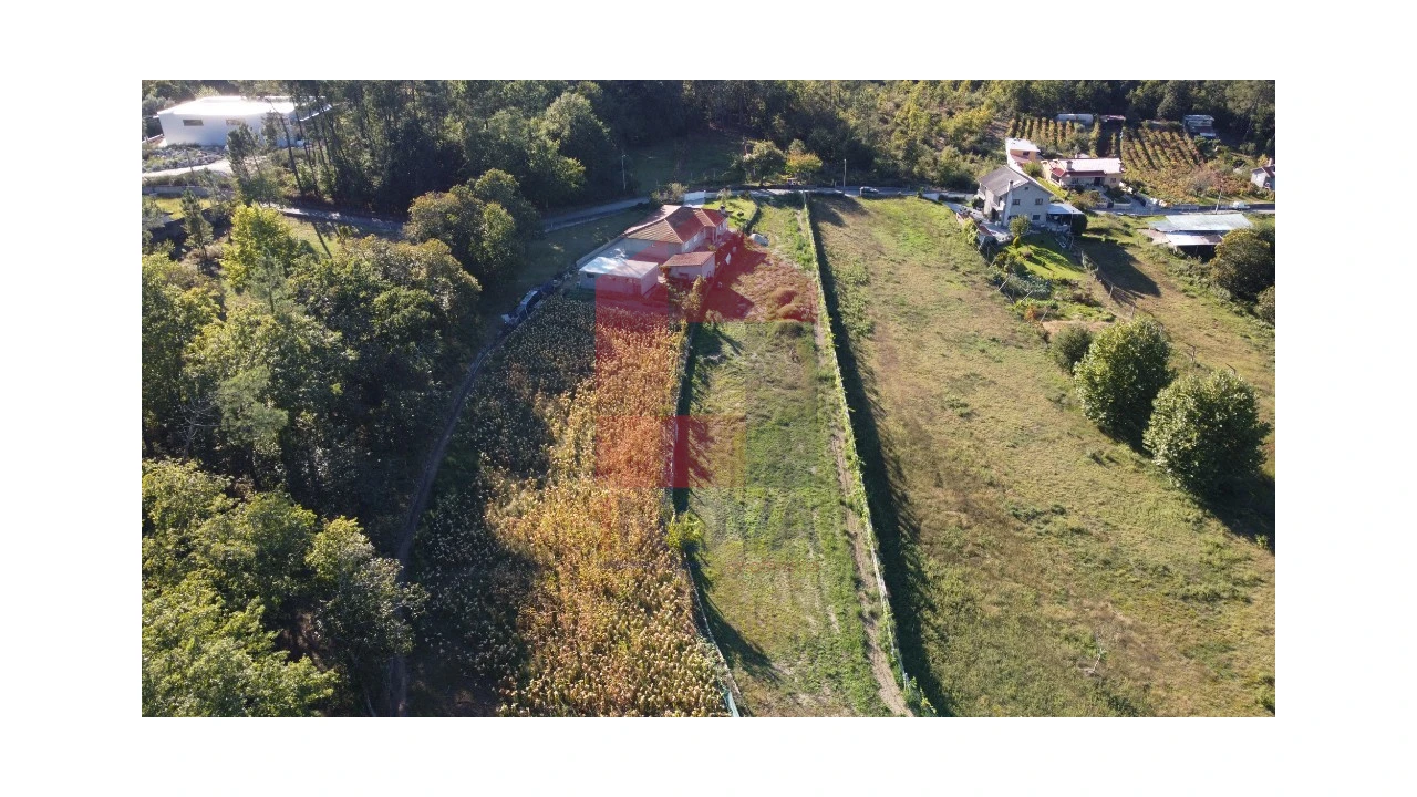 Terreno para Venda em Torre e Portela Foto 24