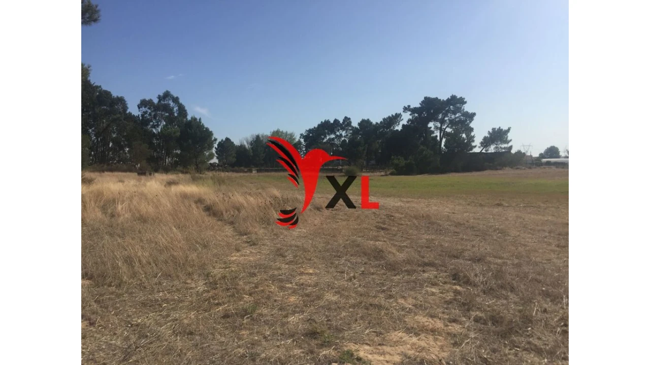 Quinta T5 para Venda em Samora Correia Foto 12