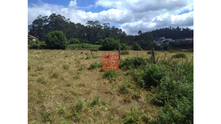 Terreno para Venda em Esposende, Marinhas e Gandra Foto 1