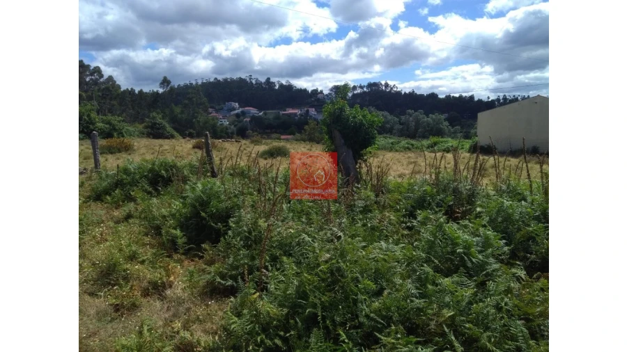 Terreno para Venda em Esposende, Marinhas e Gandra Foto 12