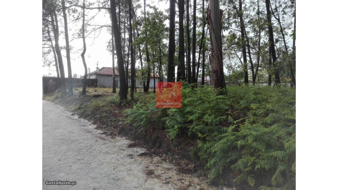 Terreno para Venda em Fragoso Foto 9