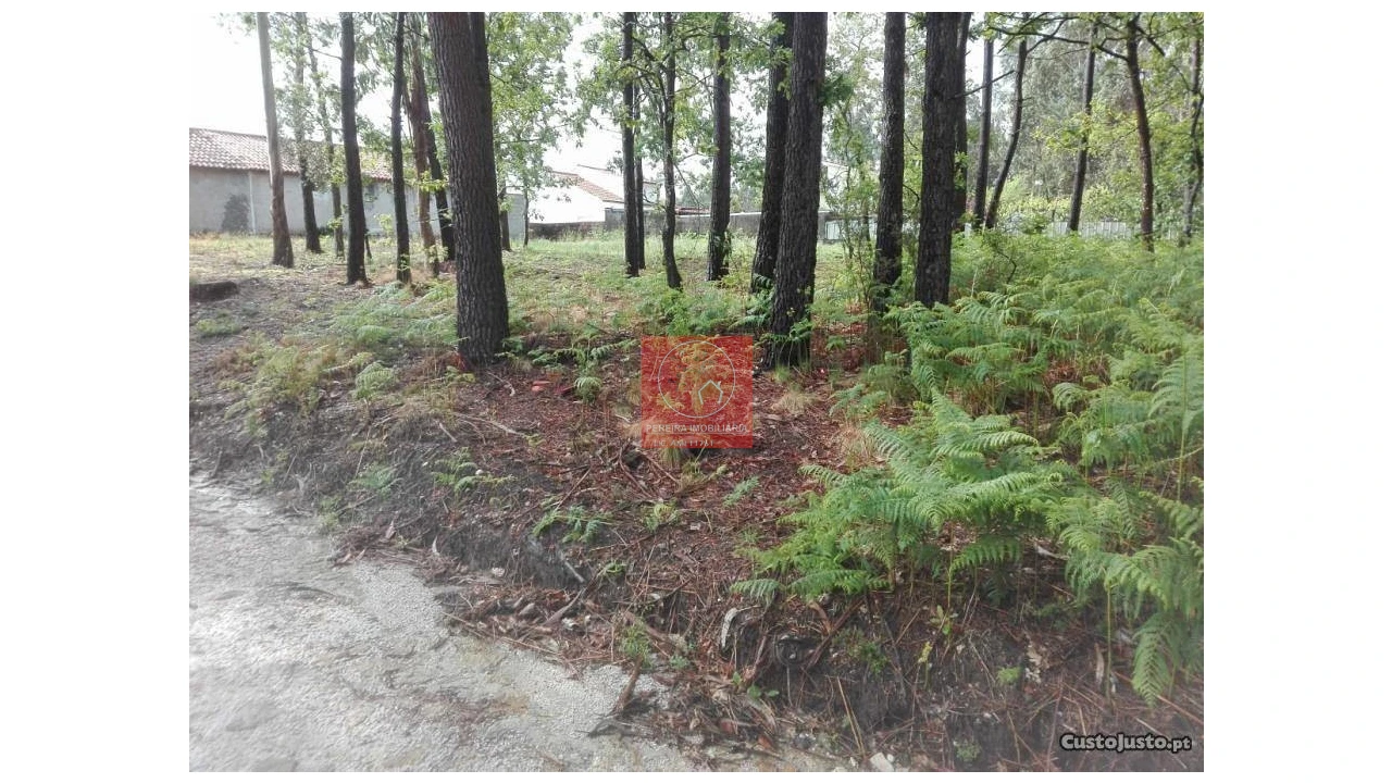 Terreno para Venda em Fragoso Foto 5