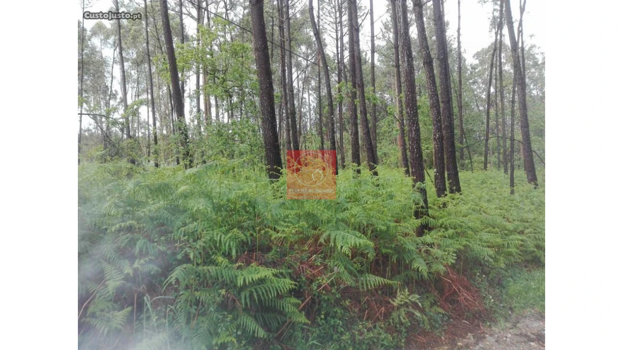 Terreno para Venda em Fragoso Foto 3