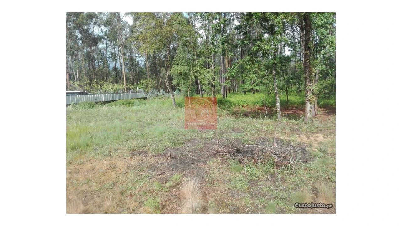 Terreno para Venda em Fragoso Foto 6