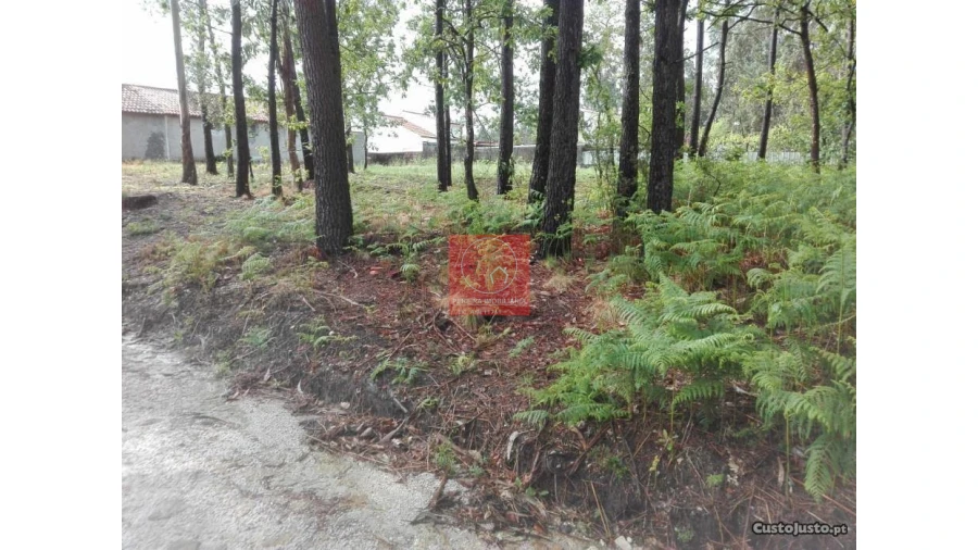 Terreno para Venda em Fragoso Foto 5