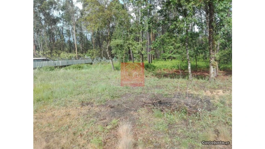 Terreno para Venda em Fragoso Foto 6