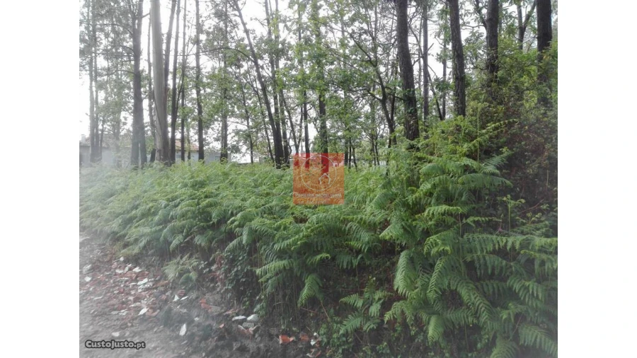 Terreno para Venda em Fragoso Foto 10