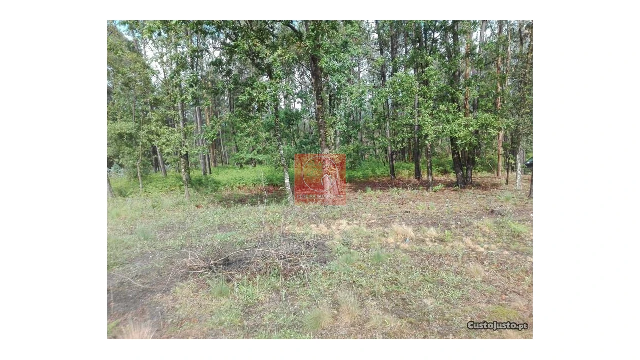 Terreno para Venda em Fragoso Foto 12