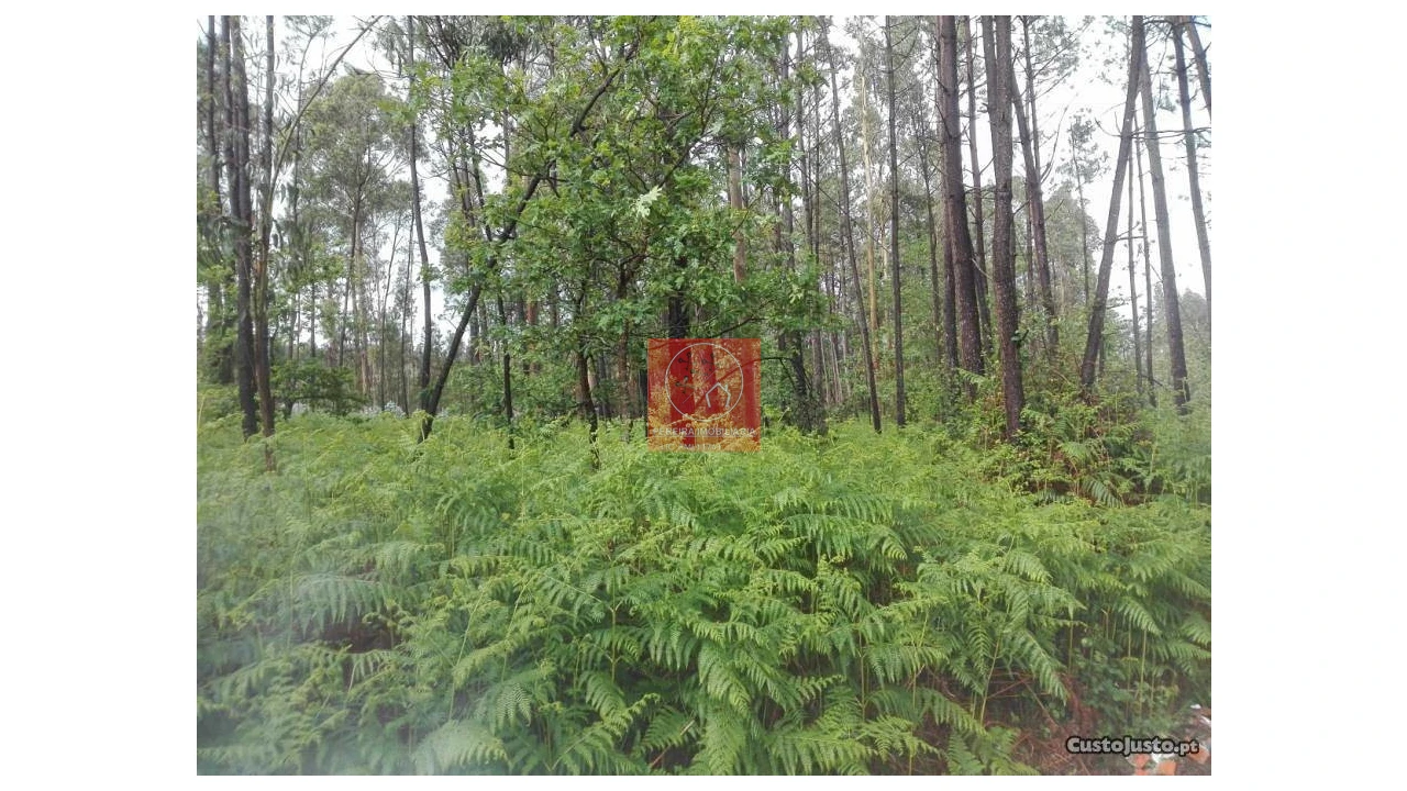 Terreno para Venda em Fragoso Foto 2