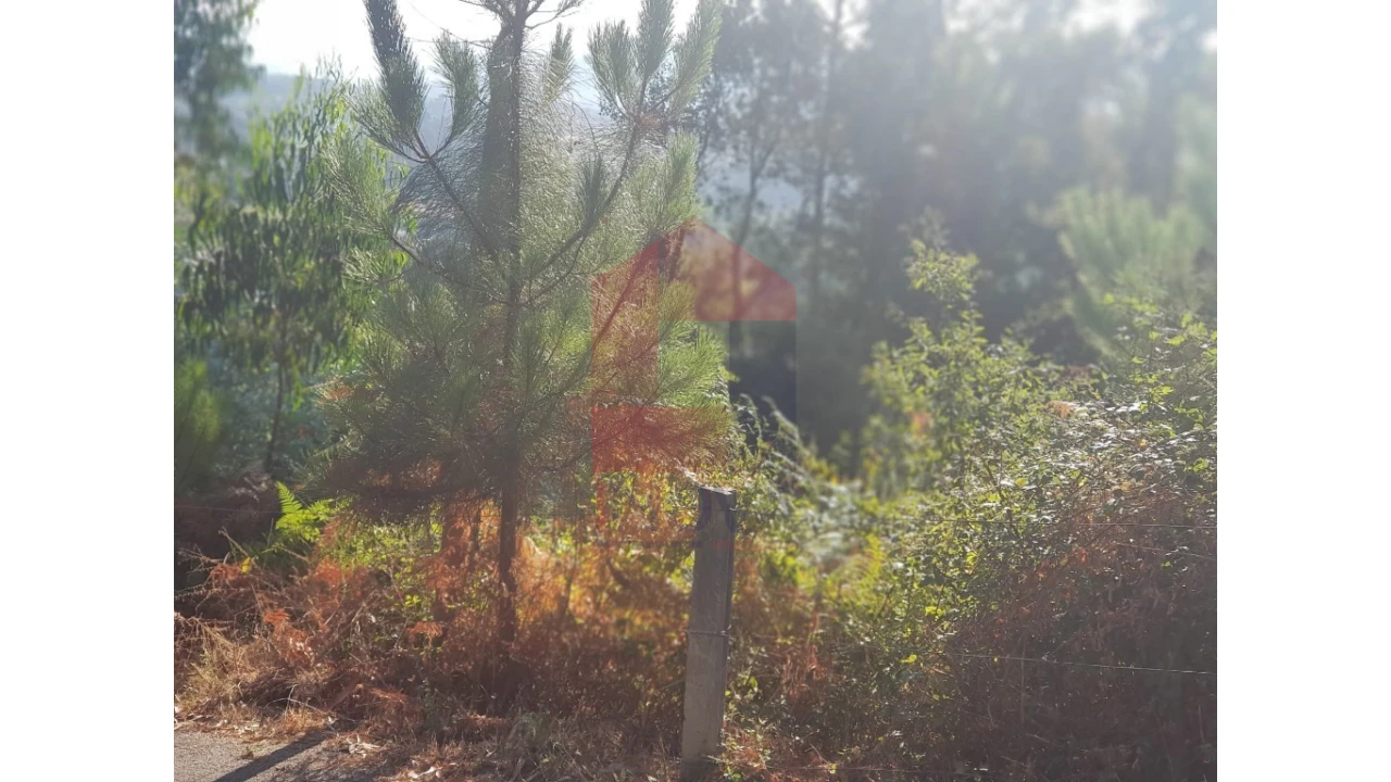 Terreno para Venda em Gême Foto 4