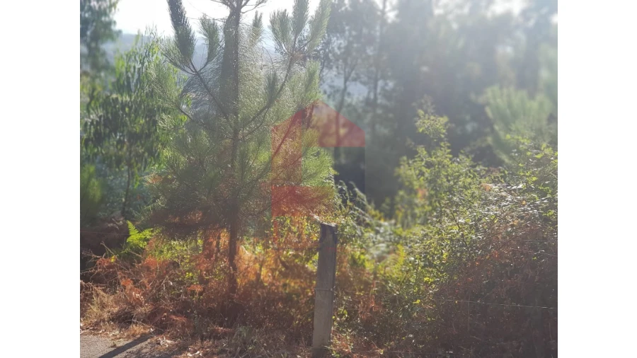 Terreno para Venda em Gême Foto 4