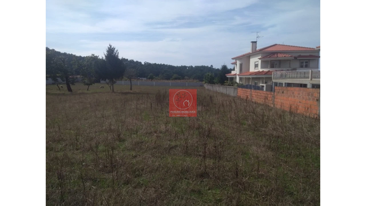 Terreno para Venda em Antas Foto 1