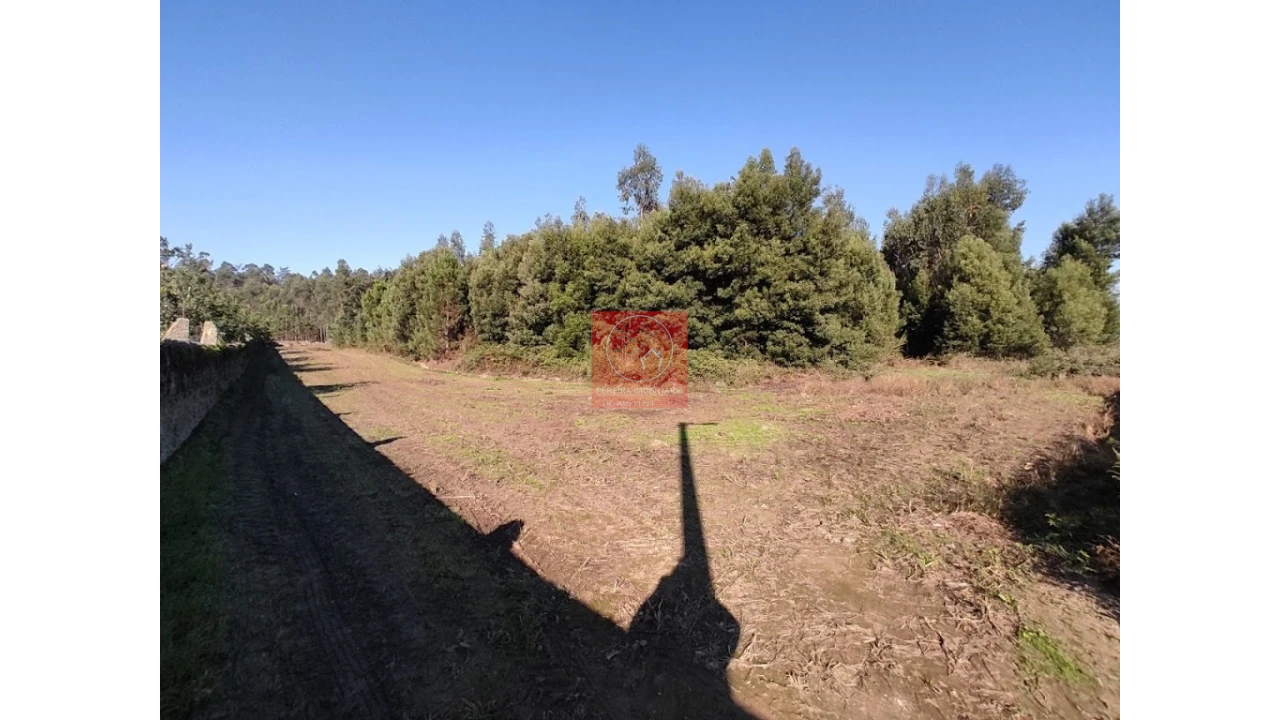 Terreno para Venda em Rio Mau e Arcos Foto 3