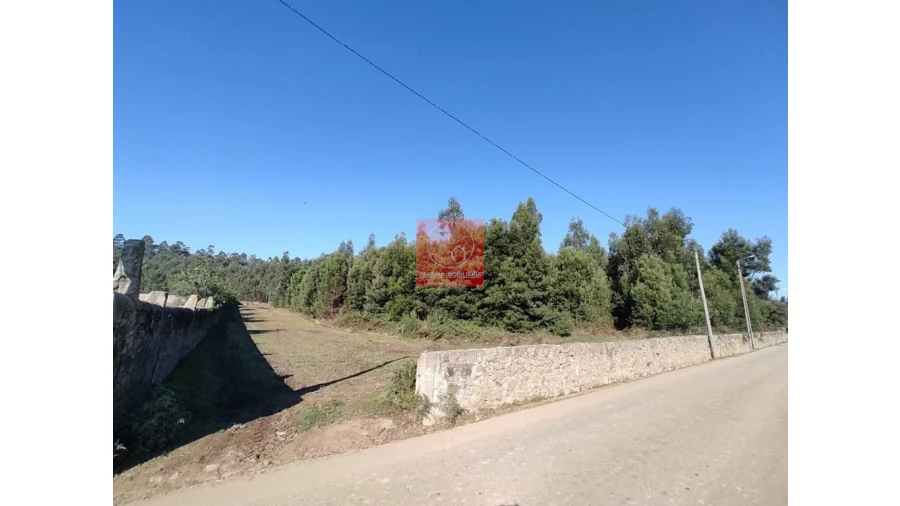 Terreno para Venda em Rio Mau e Arcos Foto 2