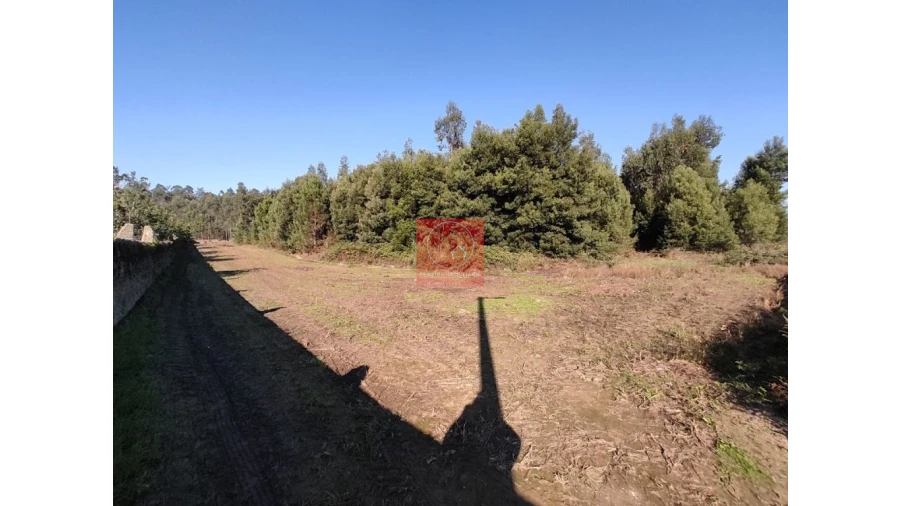 Terreno para Venda em Rio Mau e Arcos Foto 3