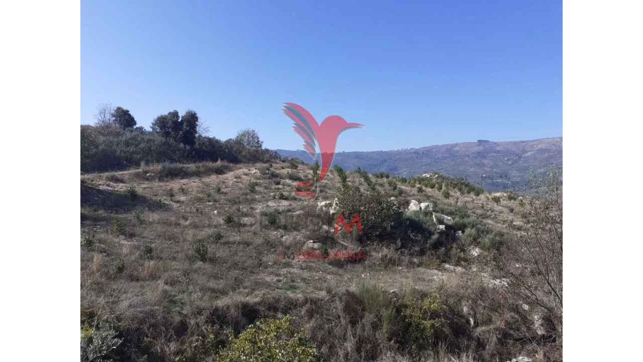 Quinta para Venda em Aldeia Nova Foto 17