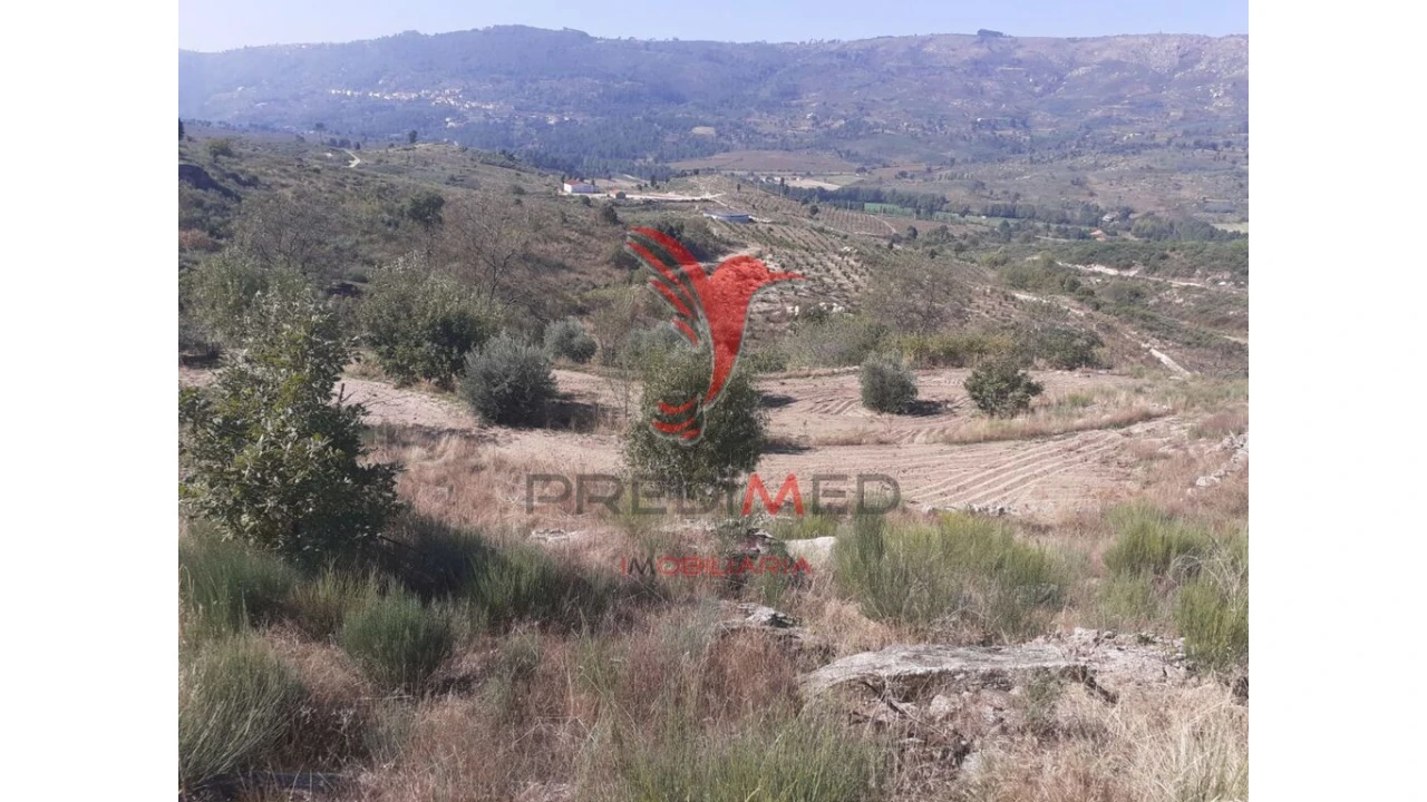 Quinta para Venda em Aldeia Nova Foto 11