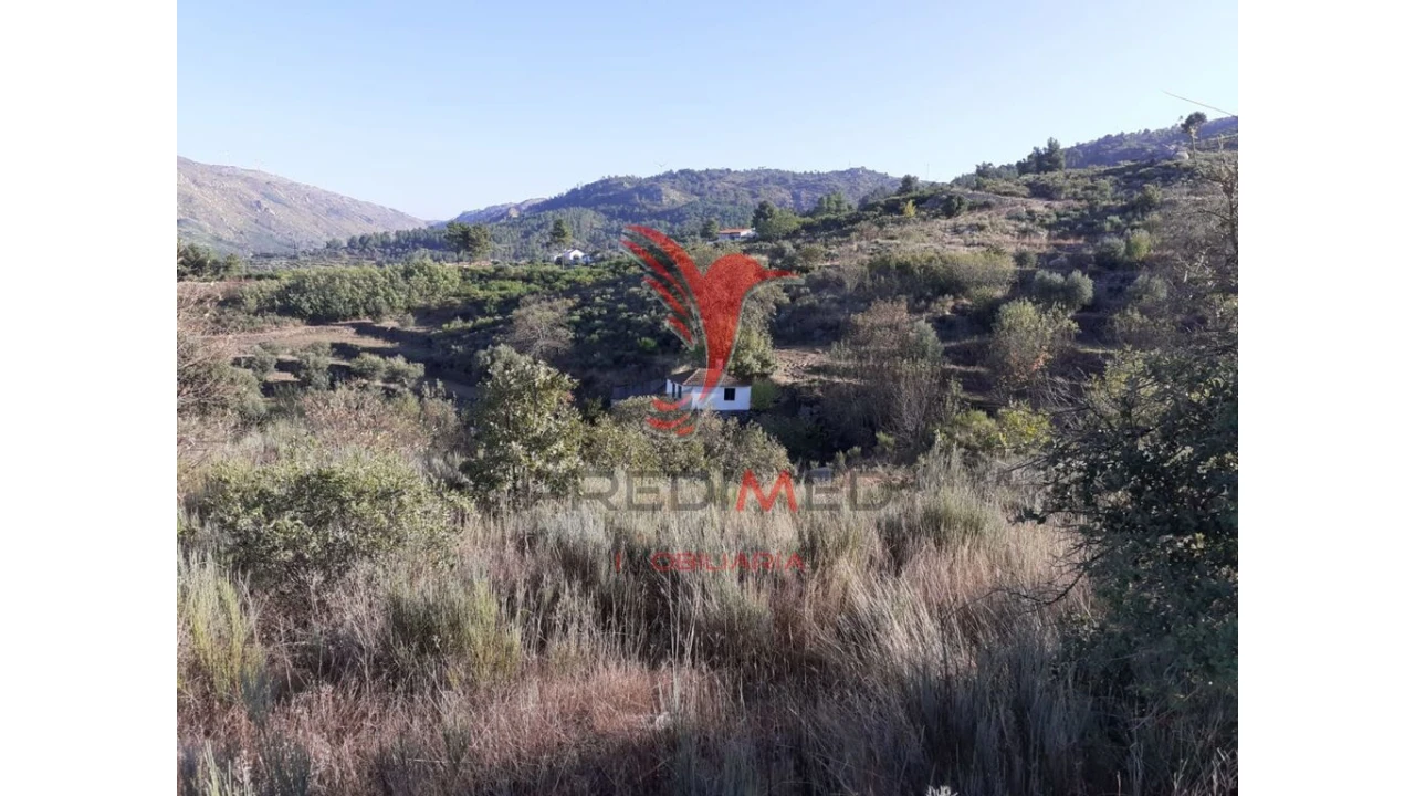 Quinta para Venda em Aldeia Nova Foto 1