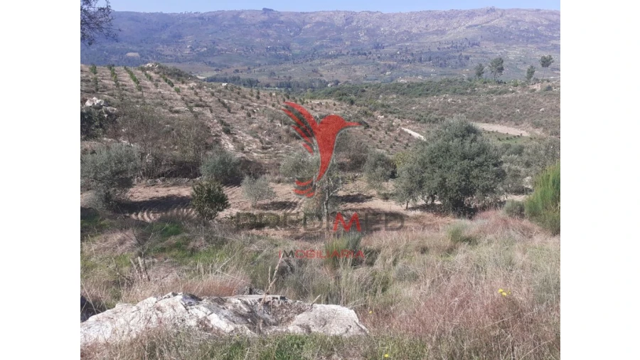 Quinta para Venda em Aldeia Nova Foto 15