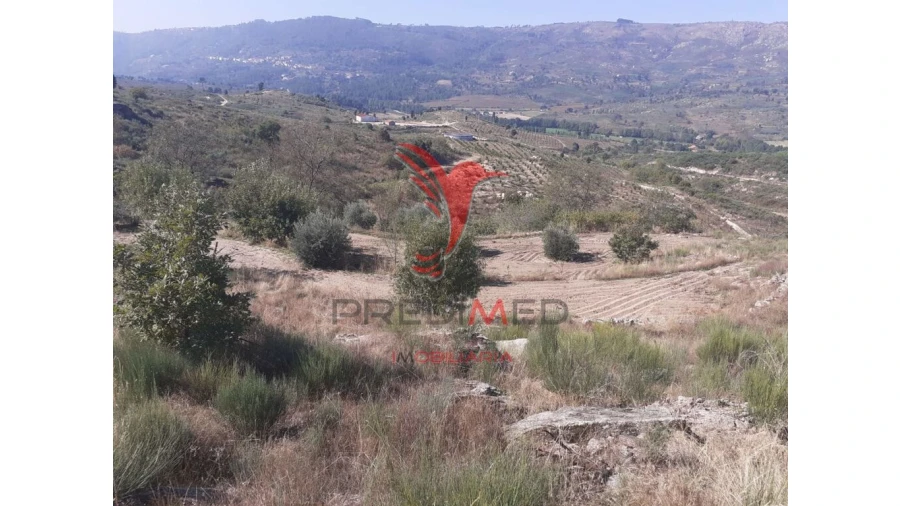 Quinta para Venda em Aldeia Nova Foto 11