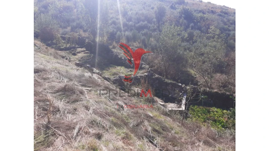 Quinta para Venda em Aldeia Nova Foto 10