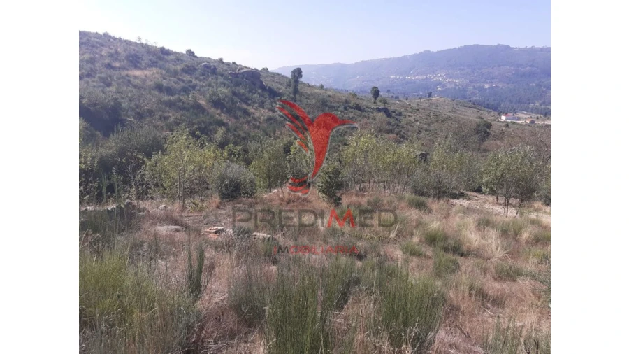 Quinta para Venda em Aldeia Nova Foto 13