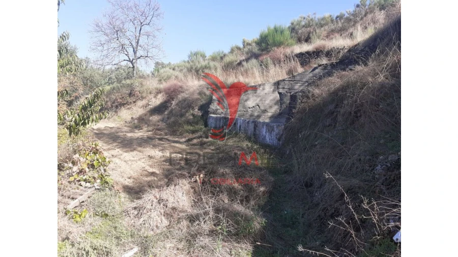 Quinta para Venda em Aldeia Nova Foto 8