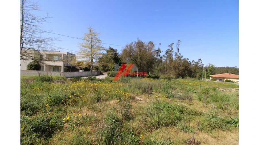 Terreno para Venda em Macieira da Maia Foto 3