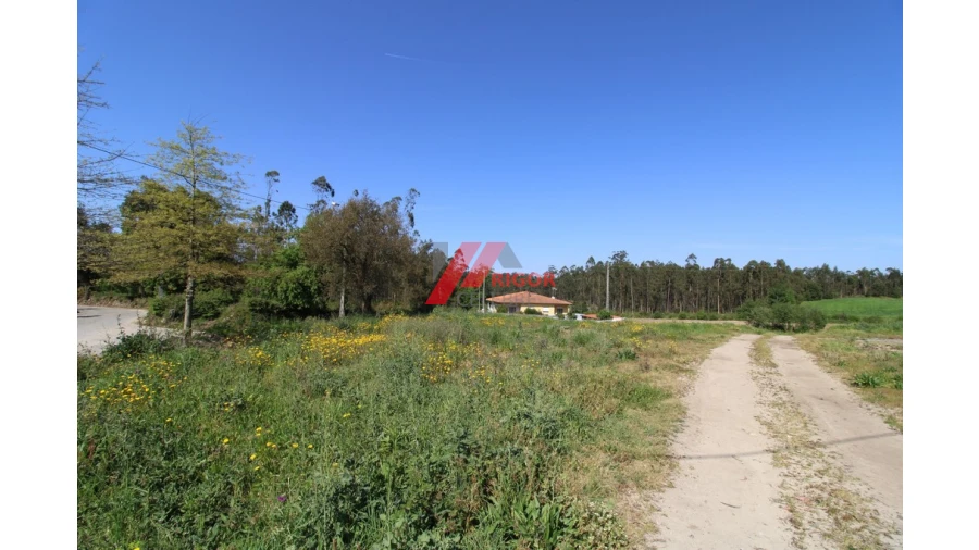 Terreno para Venda em Macieira da Maia Foto 2