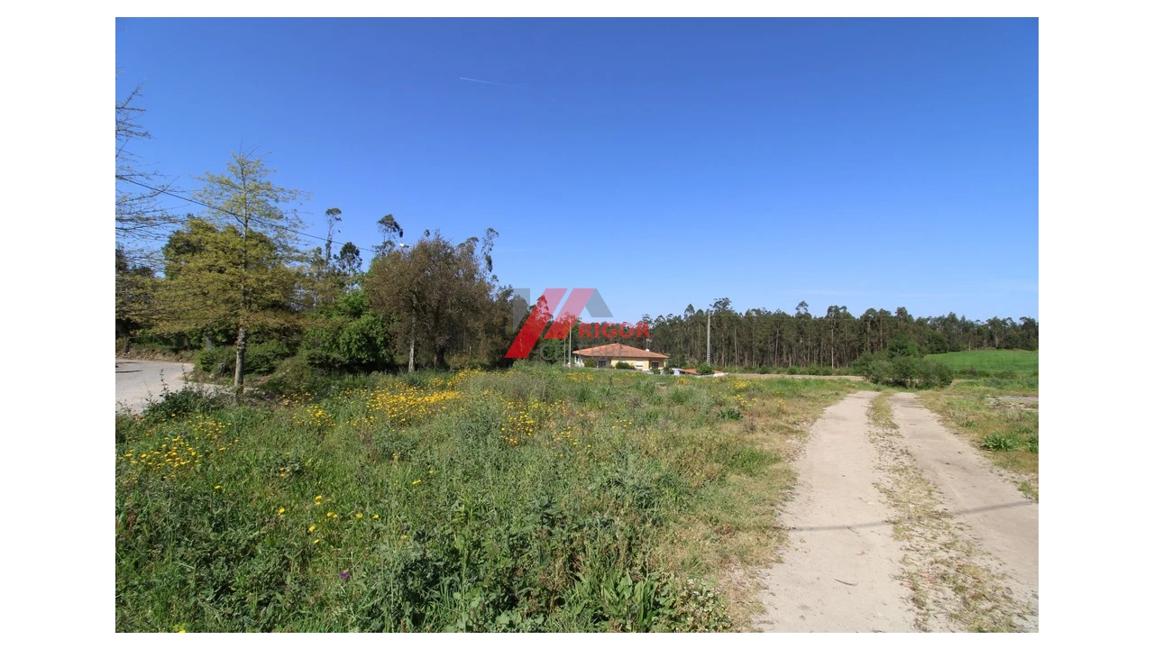 Terreno para Venda em Macieira da Maia Foto 2