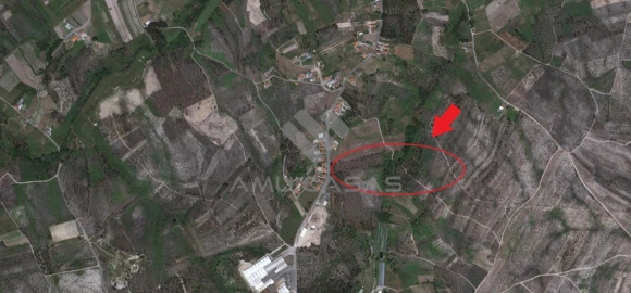 Terreno para Venda em Glória e Vera Cruz