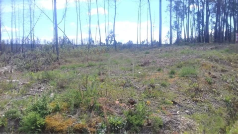 Terreno para Venda em Glória e Vera Cruz