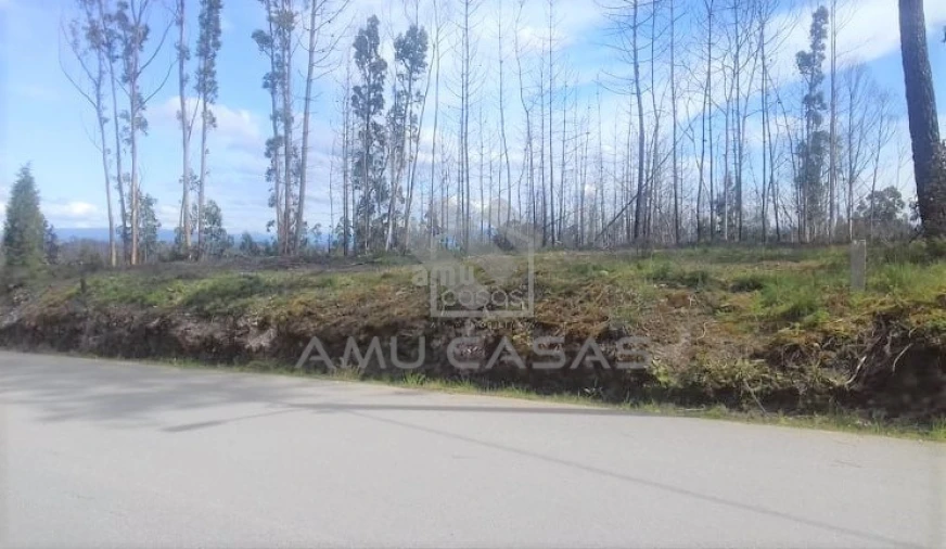 Terreno para Venda em Glória e Vera Cruz Foto 9