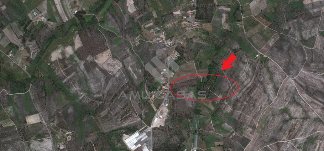 Terreno para Venda em Glória e Vera Cruz Foto 12