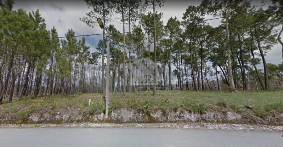 Terreno para Venda em Glória e Vera Cruz Foto 5
