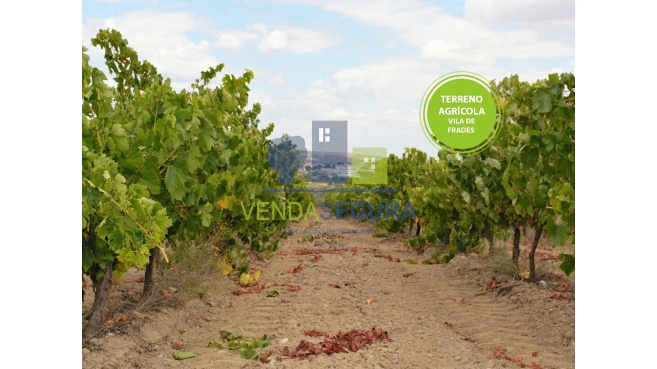 Terreno para Venda em Vila de Frades Foto 1