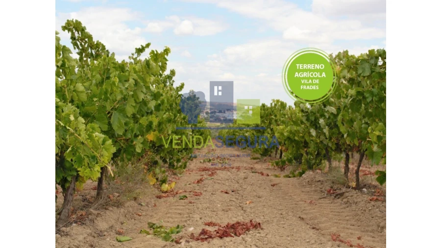 Terreno para Venda em Vila de Frades Foto 1