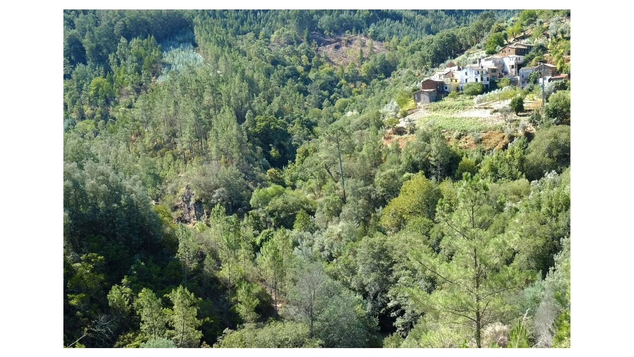 Terreno para Venda em Ceira Foto 5