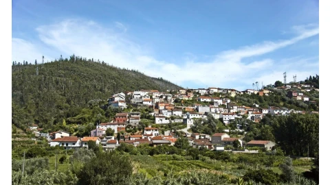 Terreno para Venda em Ceira