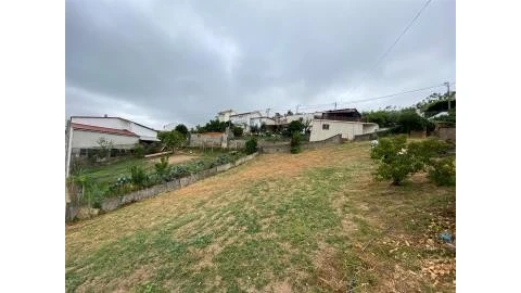 Terreno para Venda em Ceira