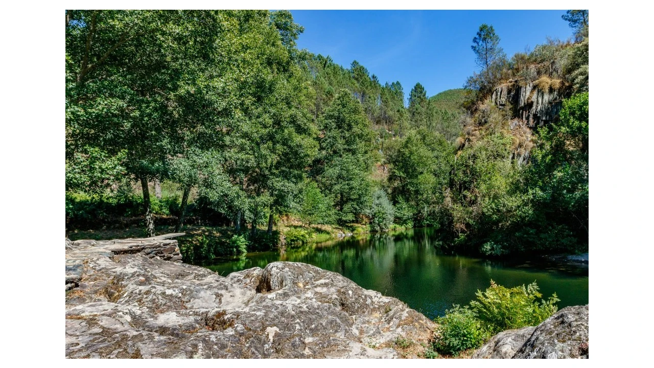 Terreno para Venda em Ceira Foto 7