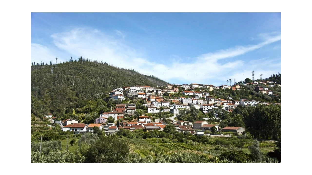 Terreno para Venda em Ceira Foto 9
