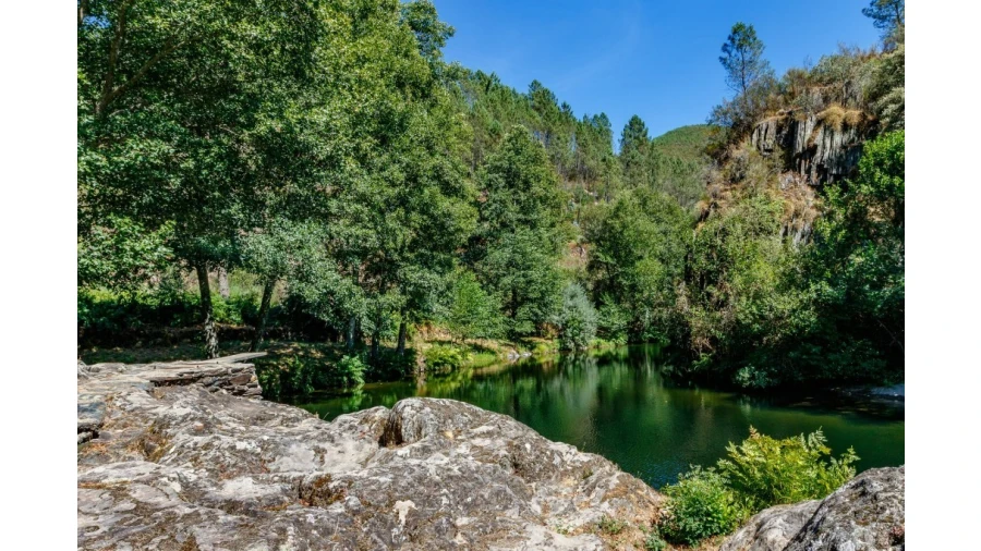 Terreno para Venda em Ceira Foto 7