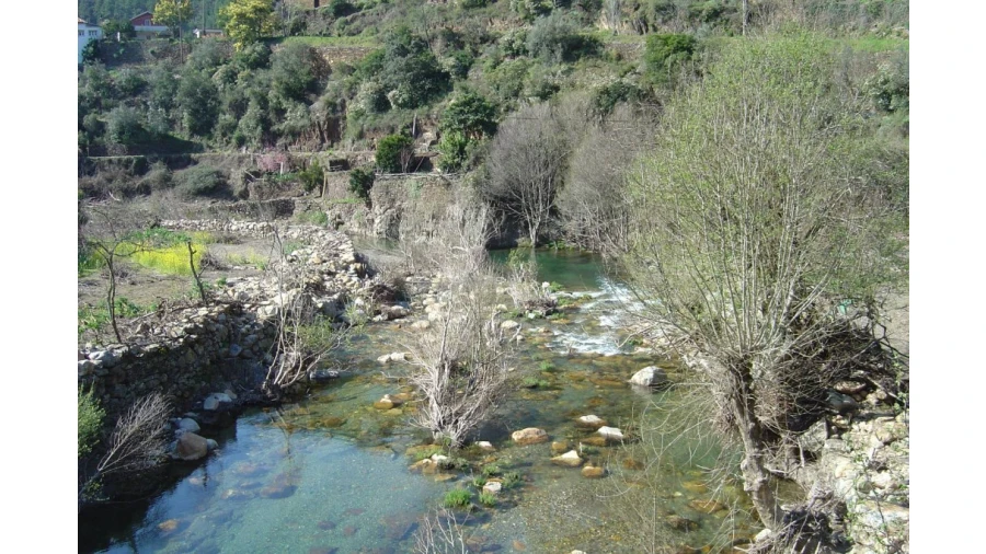 Terreno para Venda em Ceira Foto 6