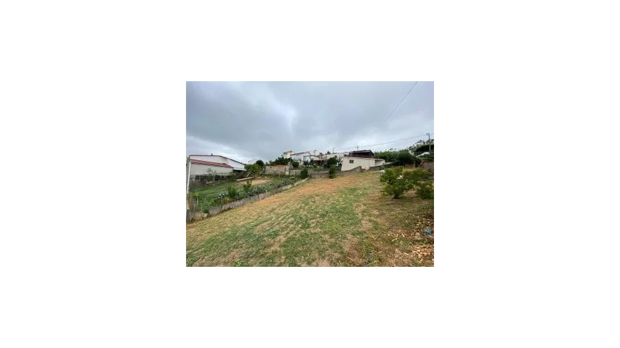 Terreno para Venda em Ceira Foto 4