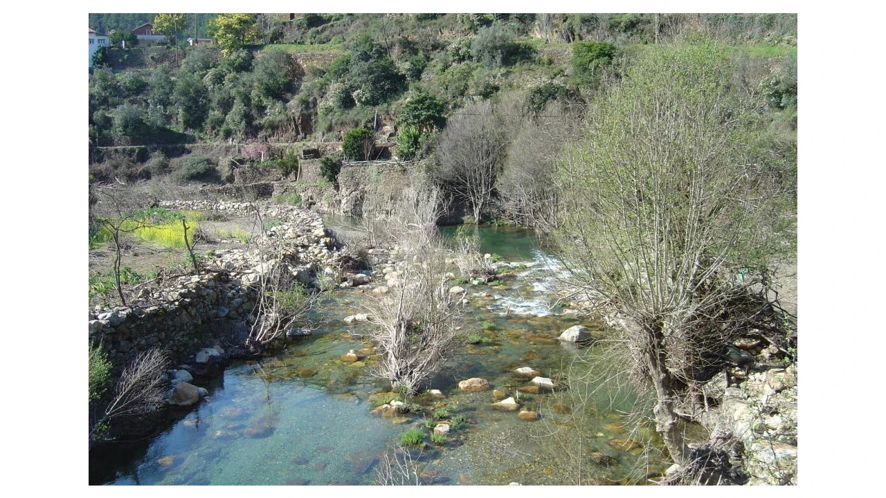 Terreno para Venda em Ceira Foto 6