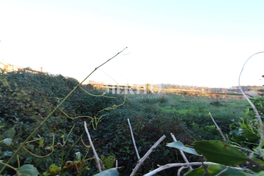 Terreno para Venda em Touguinha e Touguinhó Foto 2
