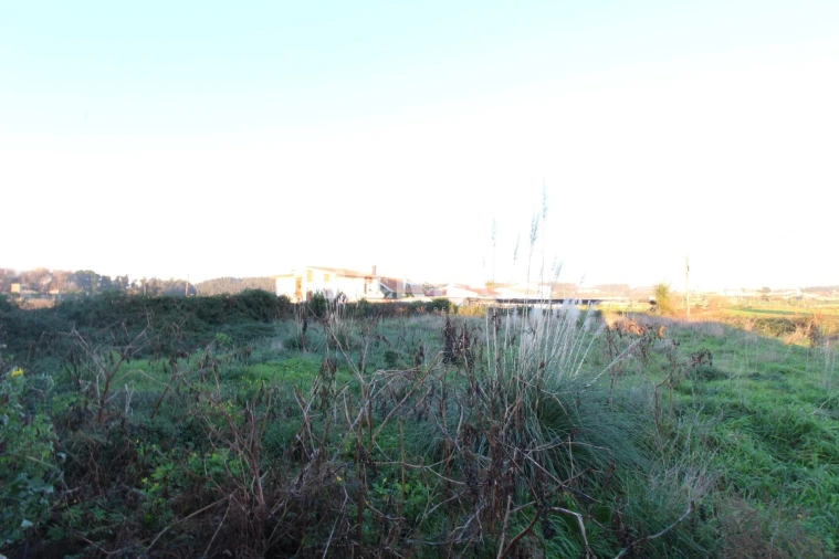 Terreno para Venda em Touguinha e Touguinhó Foto 4