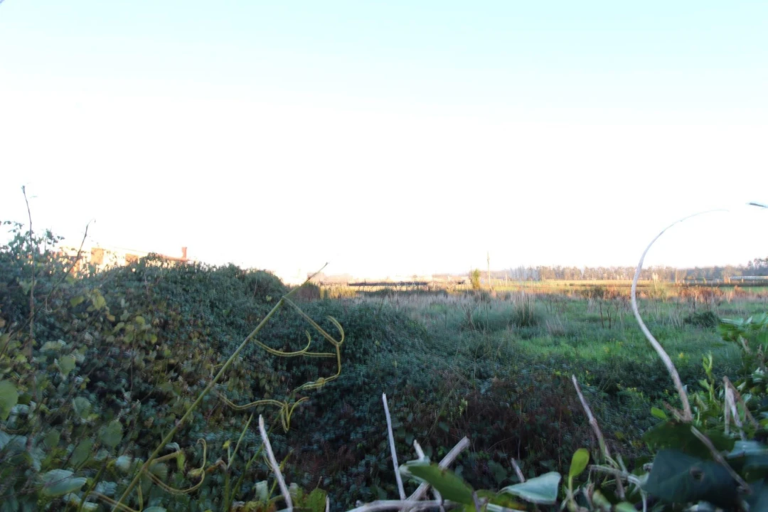 Terreno para Venda em Touguinha e Touguinhó Foto 1
